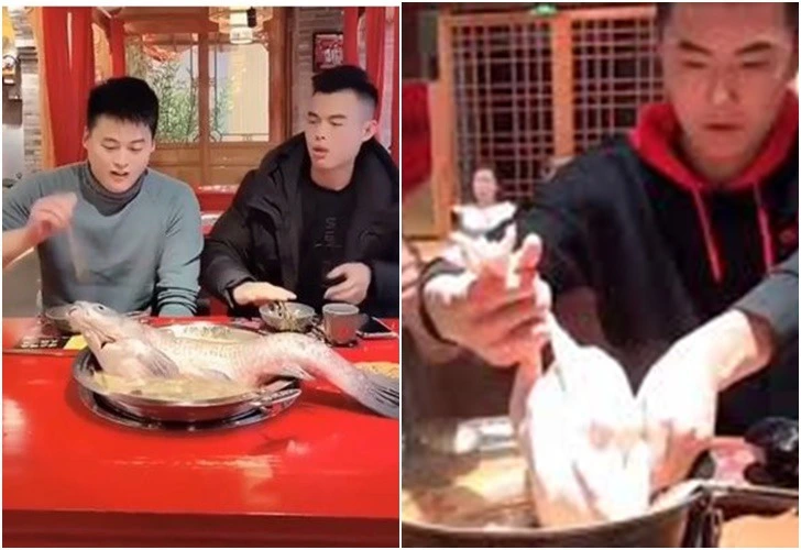 999F7C485E210432222B8A