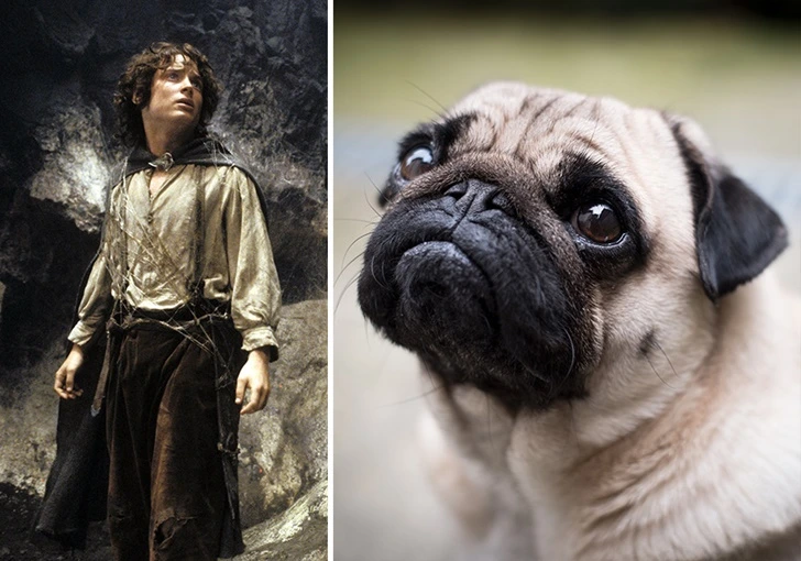 998EE64F5FEEBD49159E6E