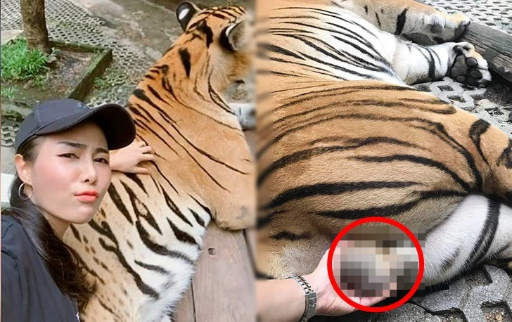 99F8F13A5F557192138B94