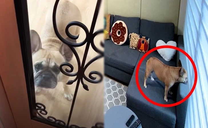 99FD06345FF249990CC13E