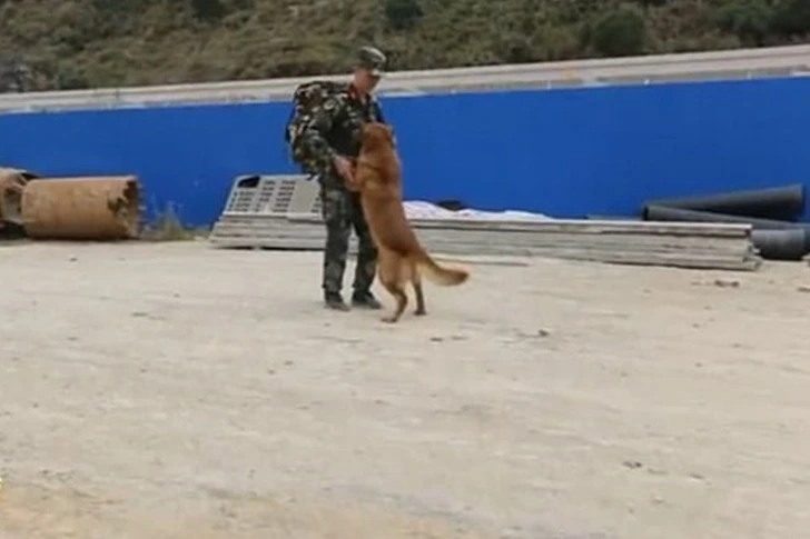 99AEF3405FDFDD4C0D6F09