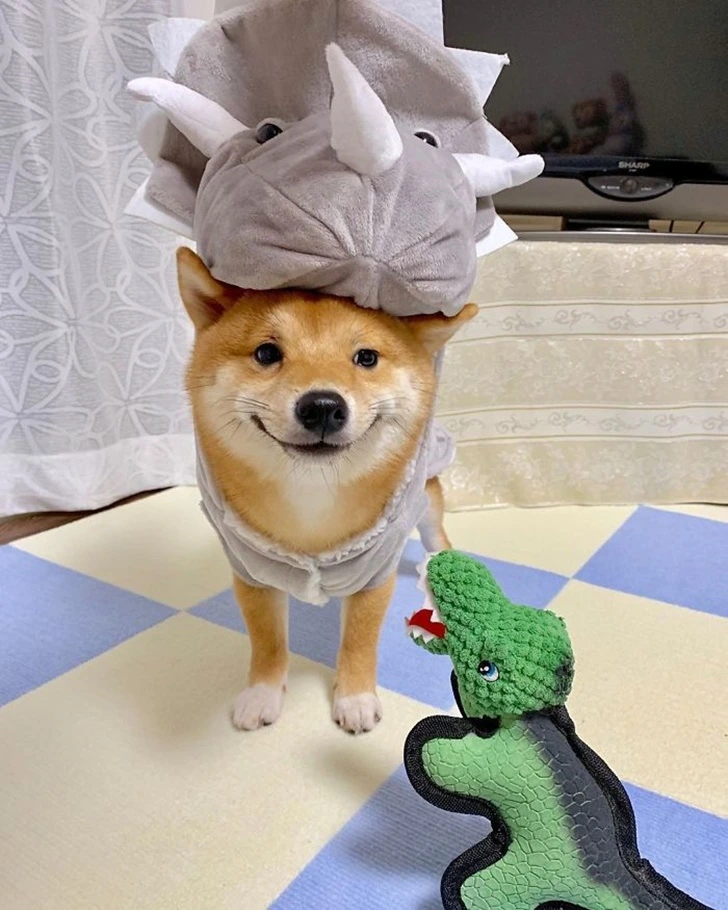 99FF9A3B5F695DE226203F