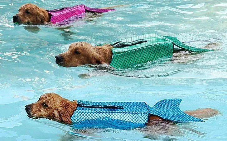 998973345D0994F4036D8D