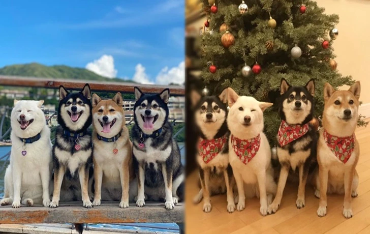 996455505F5BFADC0DA4A2