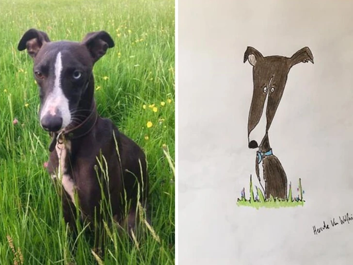 993DAC335F927106104756