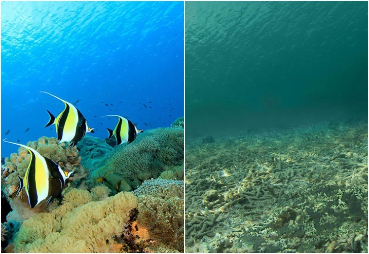 9996AF4A5E895EB018F9E6