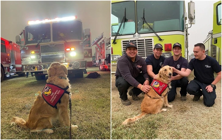 998C3D3C5F642F8336613A