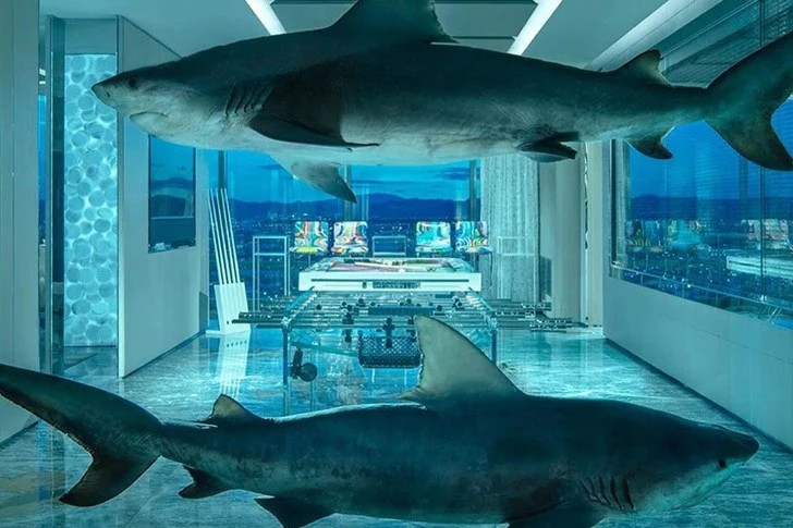 9961D53D5EEEC46329AFD8