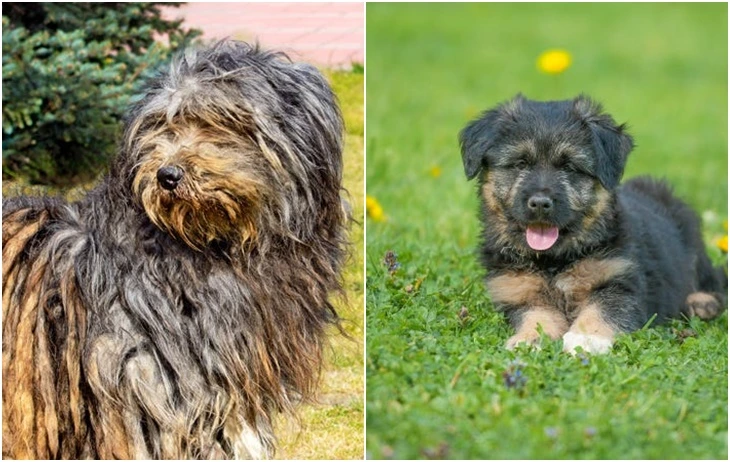 9920C0485F71AB3F1B7404