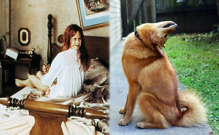 997211445FF1473A1604FD