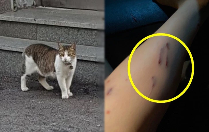 99D6224B5F3E34D534C673