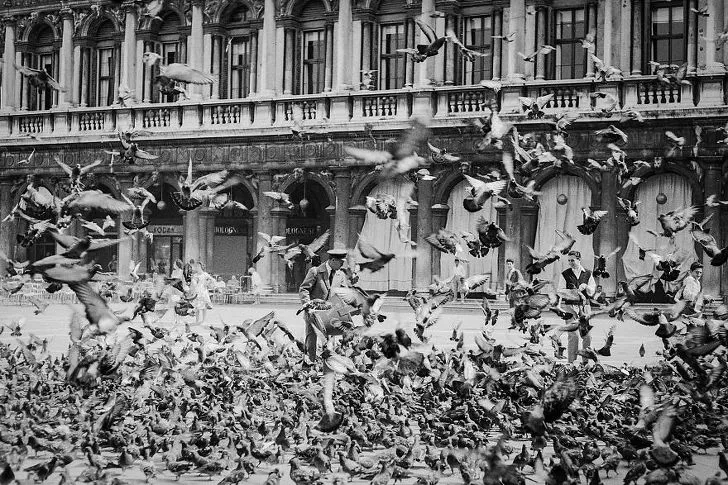 9979DB365F4AE1C9105B85