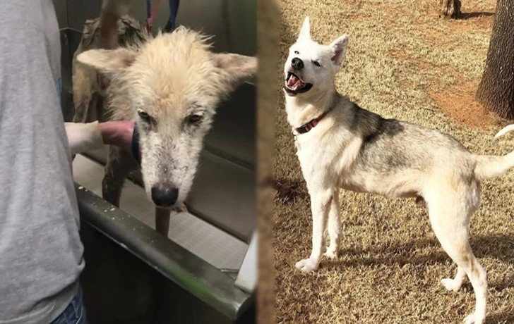 998D55345F37660A29570A