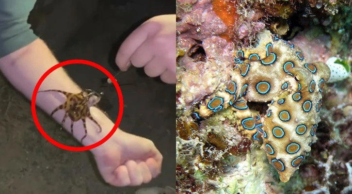 993B5D455D34948E29D691