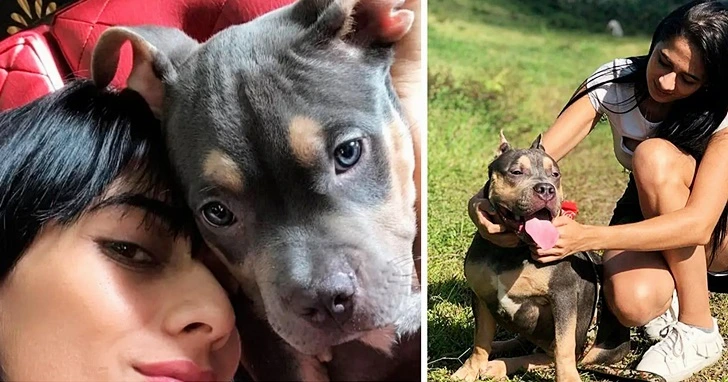 993FAC3B6008F8E00F5825