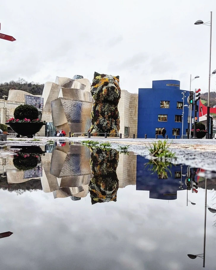 99D6F6435FE82B2117399C