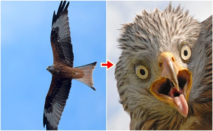 99FD9B4A5FF65803064674