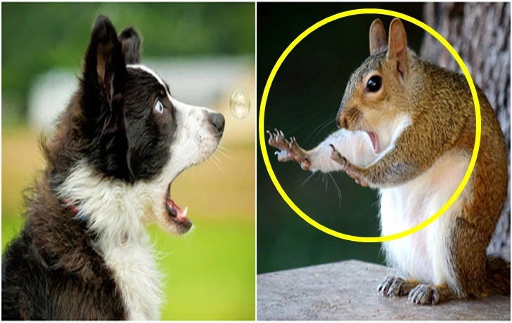 998A304C5F431EC52C18F3