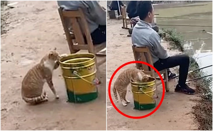 9991E13E5FCB1F17152C33