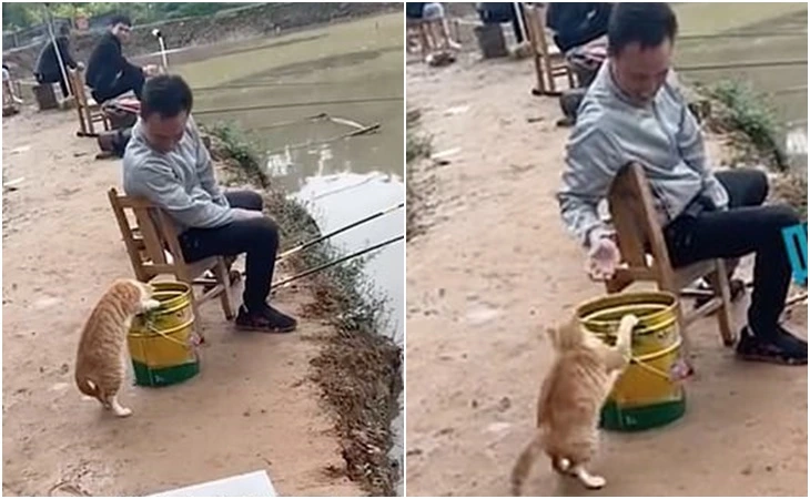 99C5B44C5FCB1F17158417