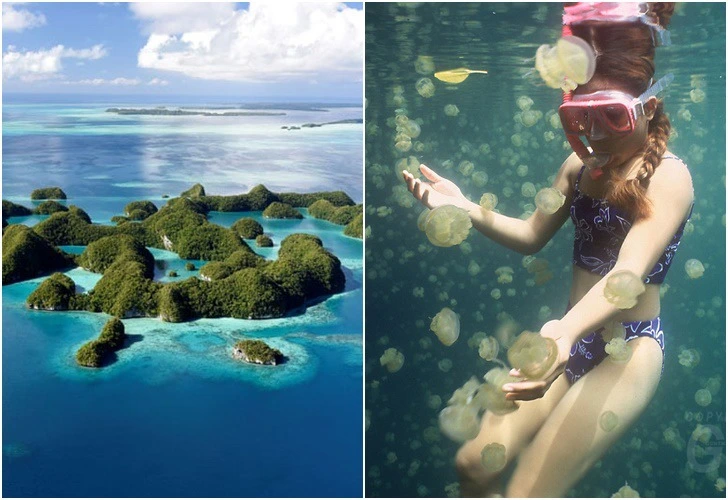 99060B4F5E0EF59908BC0A