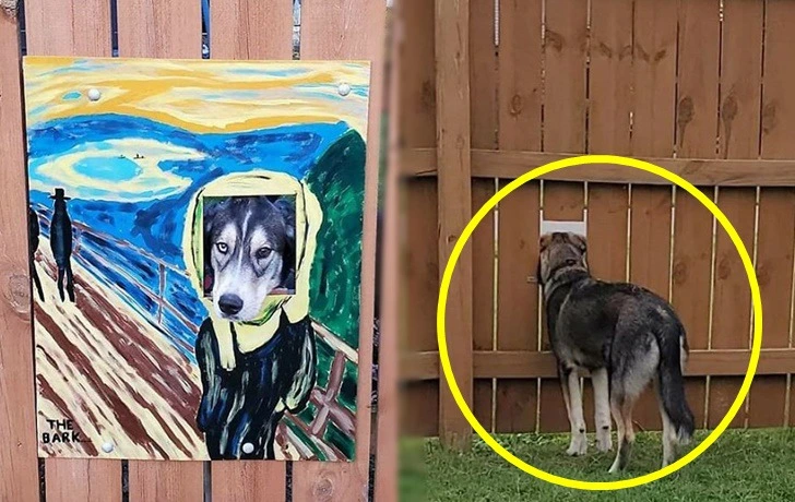 99AFD54C5F3E552816134B