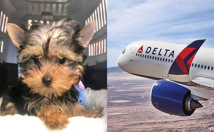 99BC8E405FF7E04209B790