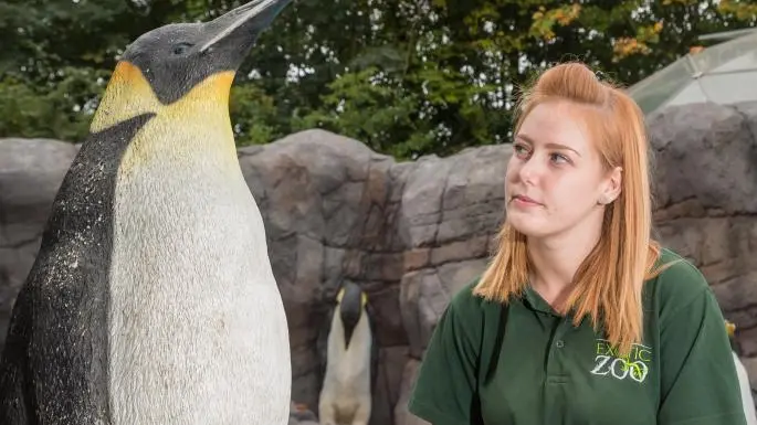 9924633D5D6627EC2A215E