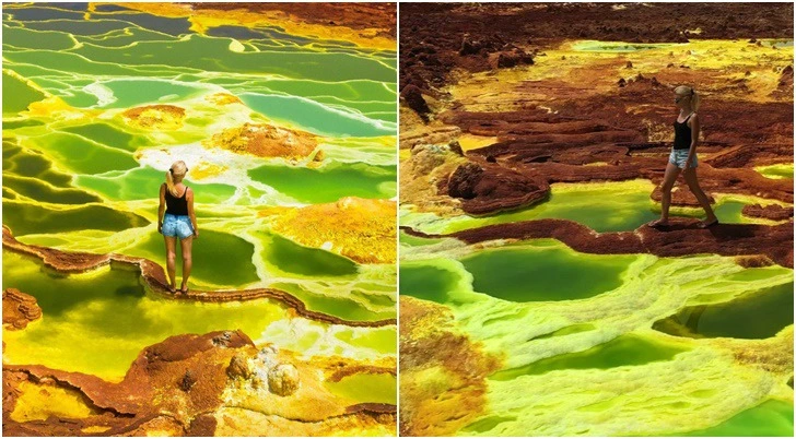 993C53505D8B40BA320275