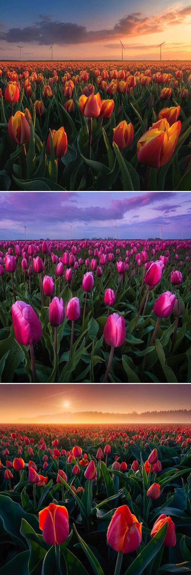 99A22F4B5CD009202B85BE