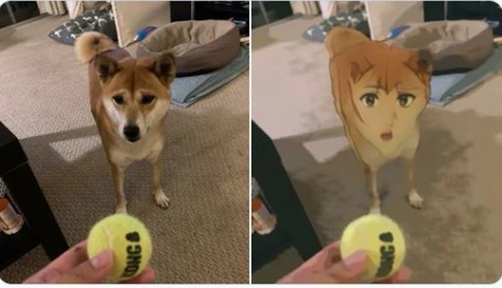 992AFD475F6ED155209661