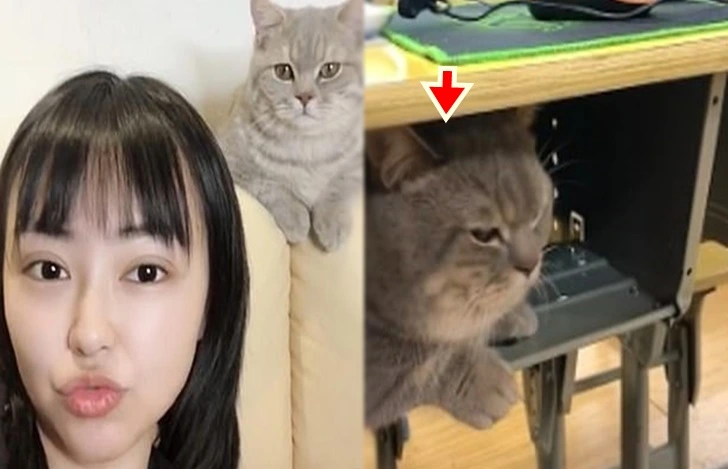 99B0EE3D5FCAE09C0D93E4