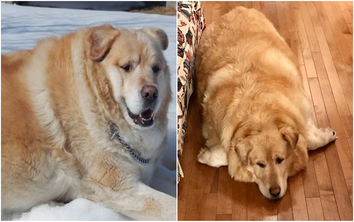 99E1E1505F3BD4E12A316C