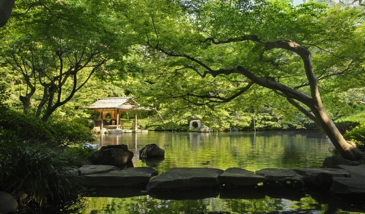 99DA73335C6694640642D9