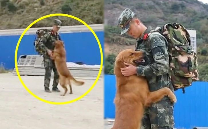 998A04345FDFDD4C0ED347