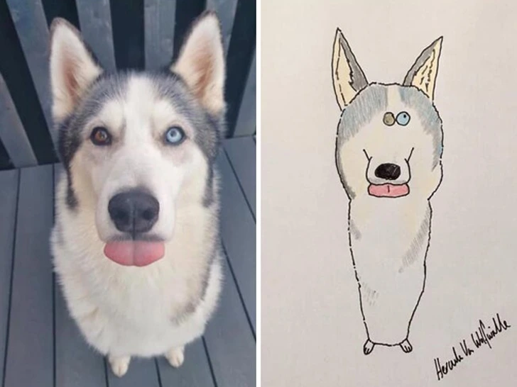 99FA8D355F9271060E9A9A