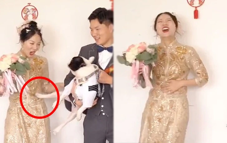 997815455FCC88F41C3E61