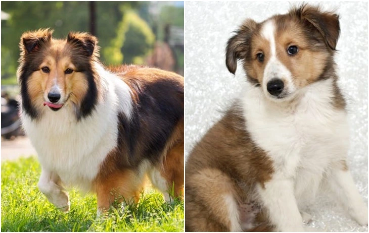 99C066455F71AB3F15A955