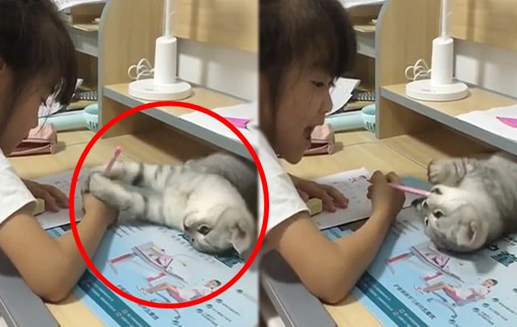 994738455FCD71B70DF277