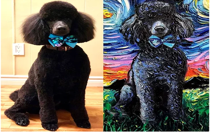 99486A4B5F4889A8054AC6