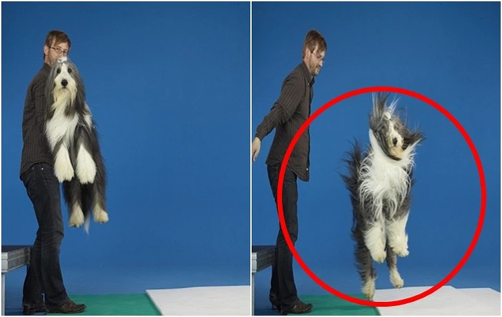 99797B405F2668C53F6AD4