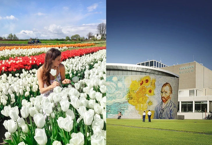 9929DC3A5C9B6D1306FF60