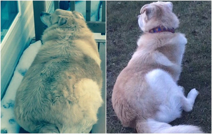 994A51495F3BAB5D106AB2