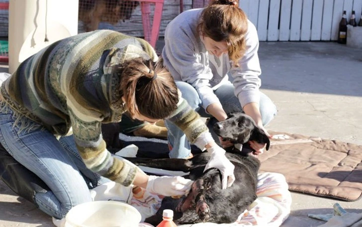 99C4053D5F605F38144FDF