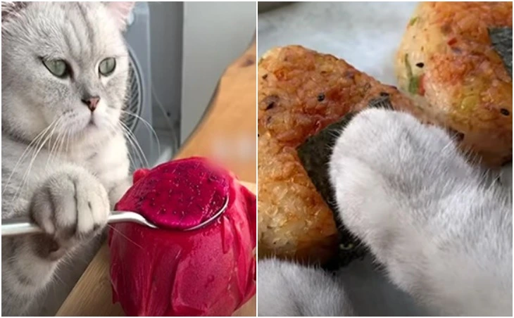 99B3F33B5FE699B80B51C5