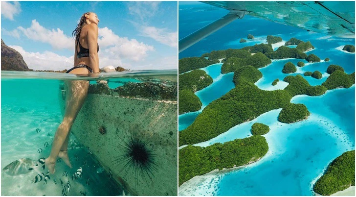 998DF43C5D73737F22BCC5