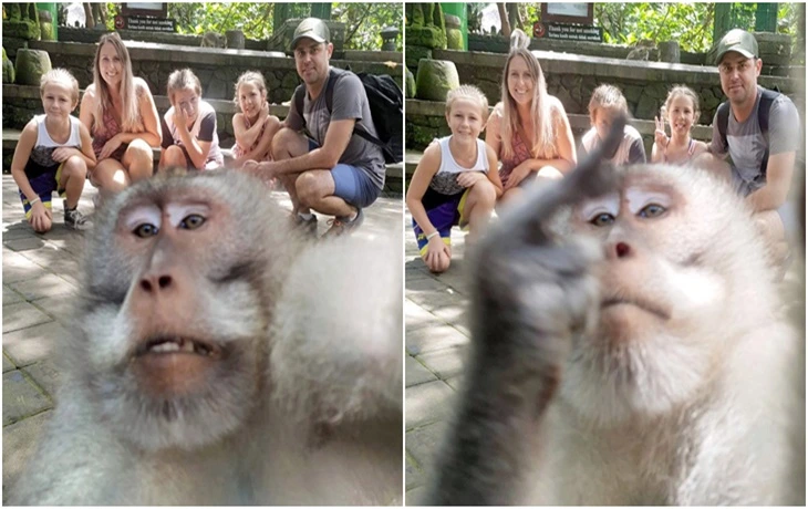 99FD7A3D5F62CBFF25F4AE