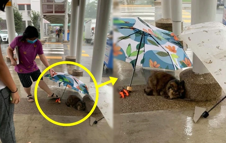 99378B4E5FB7D27E2066AF