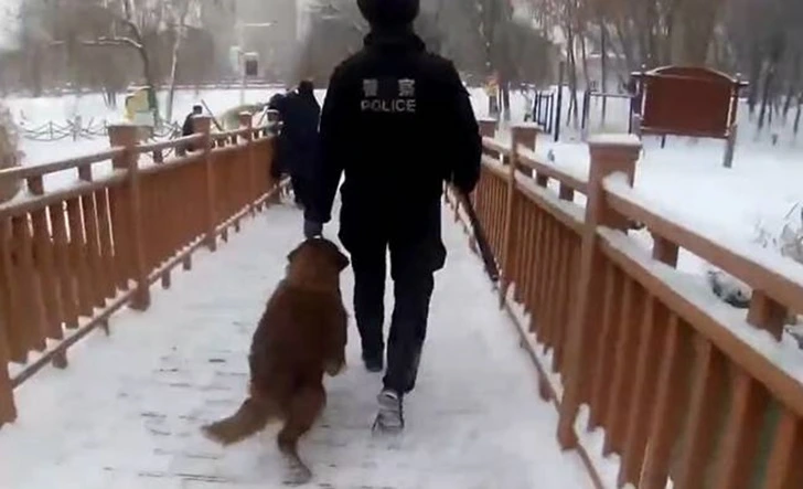 995FBF3C5FE91504056982