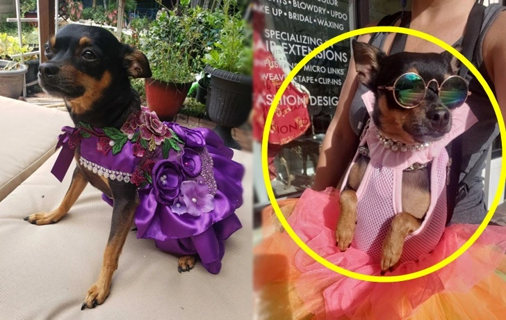 997C90345FC484A122A13E